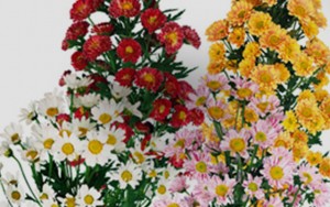 bnr_img005